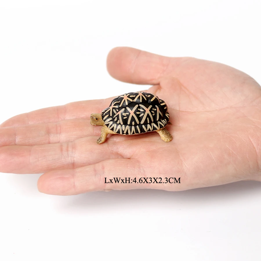 Figurines tortues en PVC — Modèle n° 13