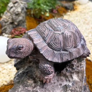Statue tortue réaliste en résine — vue principale