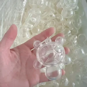 Coque tortue transparente vide vue dans la main
