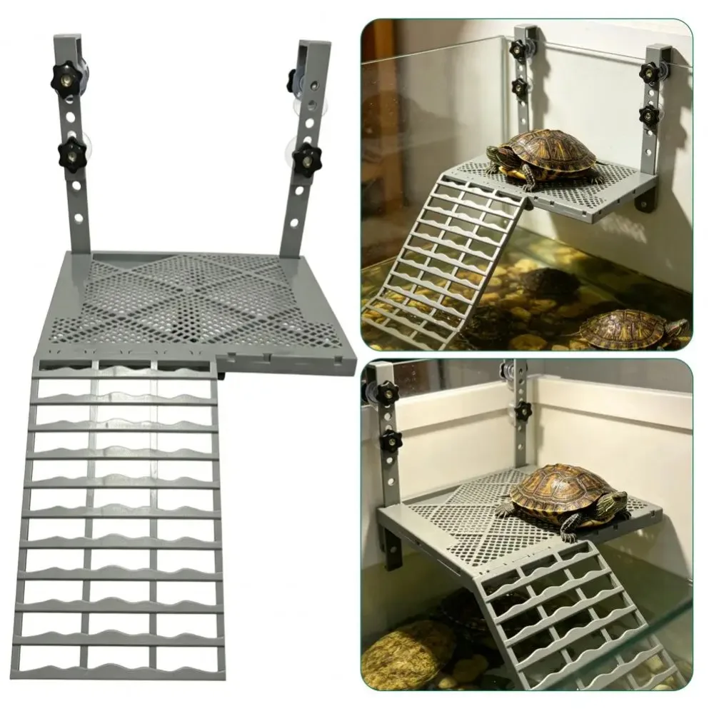 Plateforme grise et exemples de fixation dans un aquarium